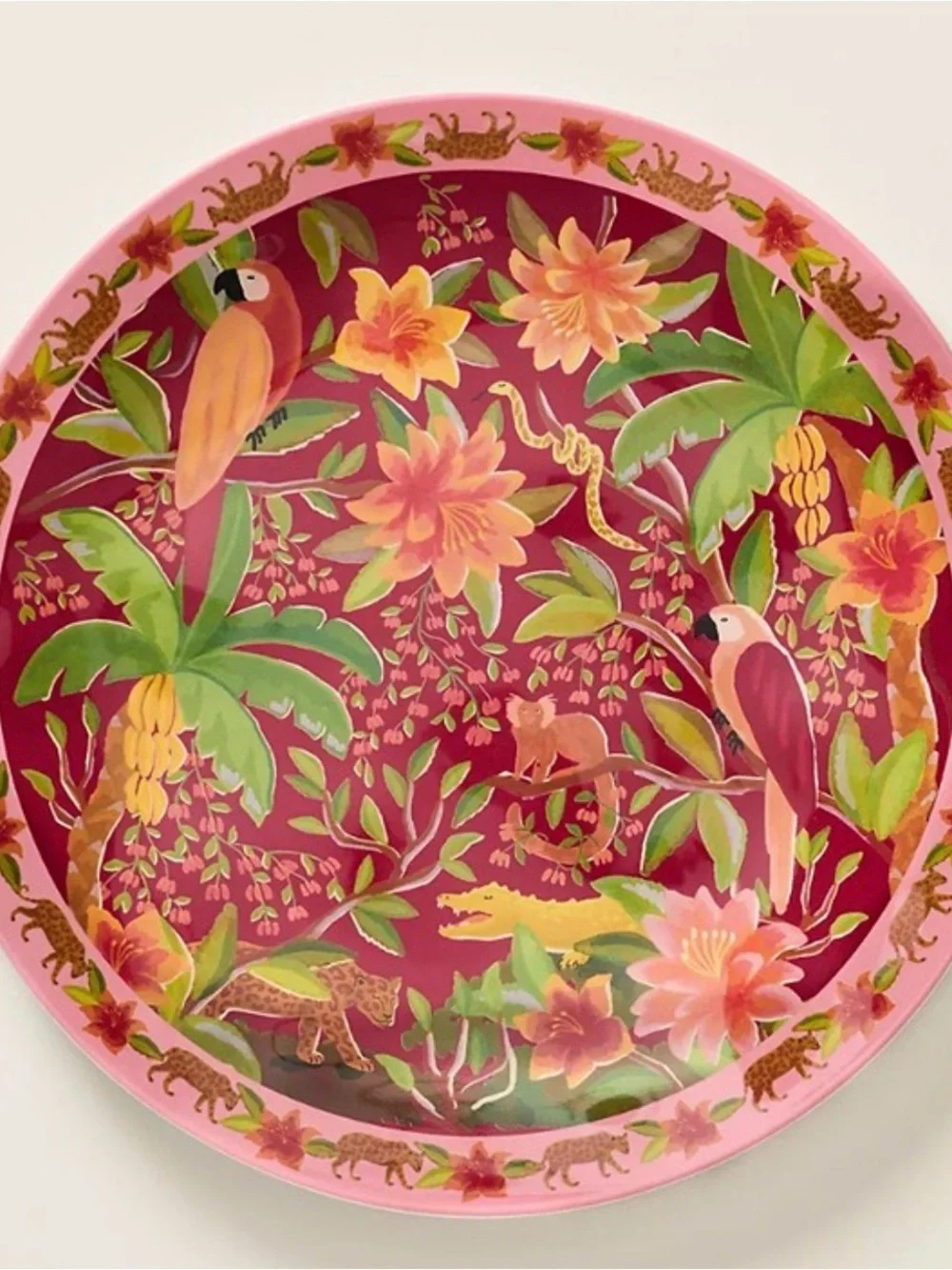 Farm Rio x Anthropologie Melamine Dinner Plate Tropical Red Berry NWT